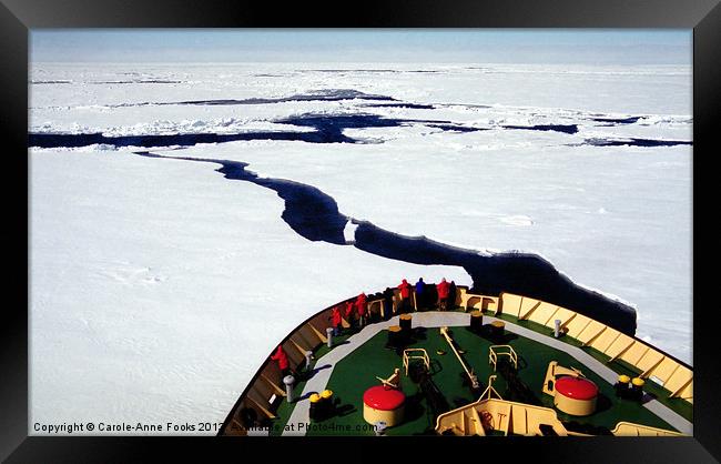 Ice Breaking in the Ross Sea Framed Print by Carole-Anne Fooks