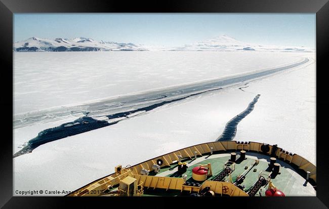Ice Breaking in the Terra Nova Bay Antarctica Framed Print by Carole-Anne Fooks
