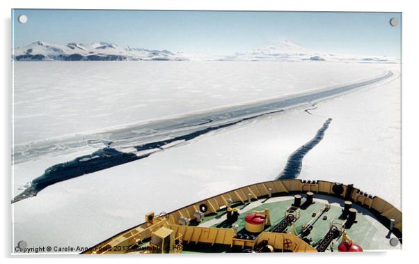 Ice Breaking in the Terra Nova Bay Antarctica Acrylic by Carole-Anne Fooks