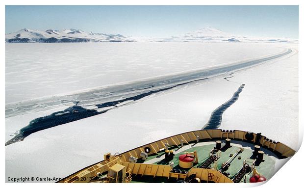 Ice Breaking in the Terra Nova Bay Antarctica Print by Carole-Anne Fooks
