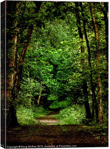 woodland path Canvas Print by Doug McRae