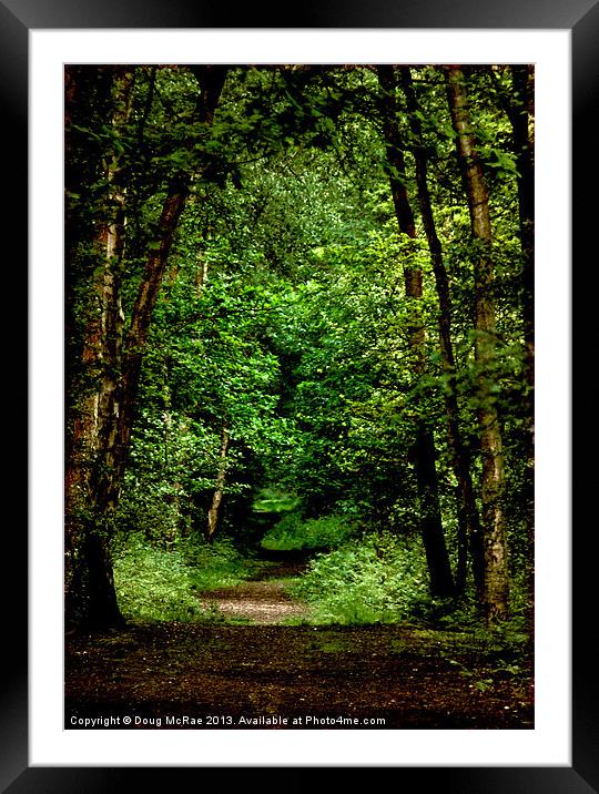 woodland path Framed Mounted Print by Doug McRae
