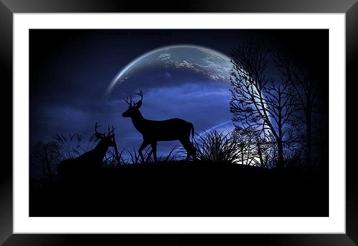 Moonlight Framed Mounted Print by Loren Robbins