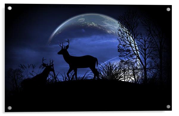 Moonlight Acrylic by Loren Robbins