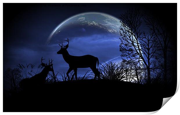 Moonlight Print by Loren Robbins