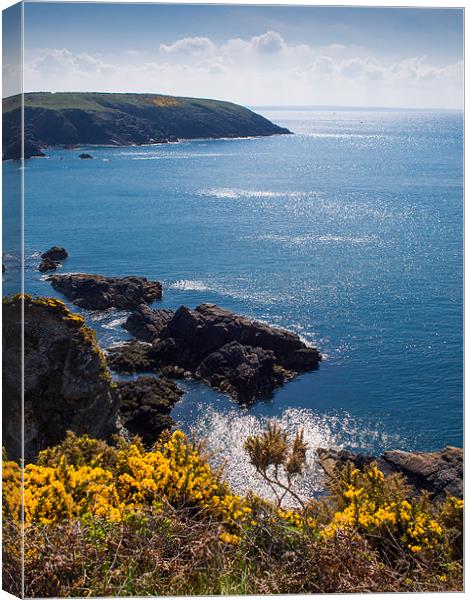 St Nons Bay, Pembrokeshire, Wales, UK Canvas Print by Mark Llewellyn