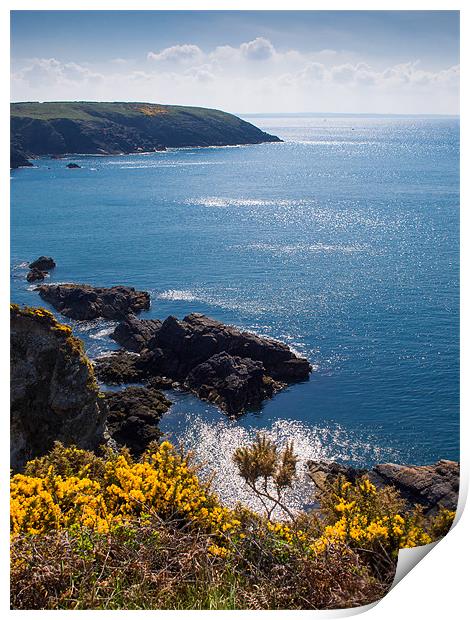 St Nons Bay, Pembrokeshire, Wales, UK Print by Mark Llewellyn