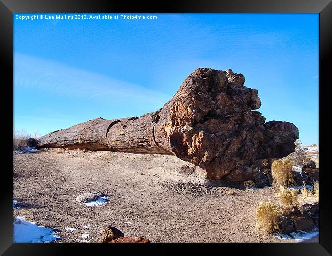 Tree of stone Framed Print by Lee Mullins