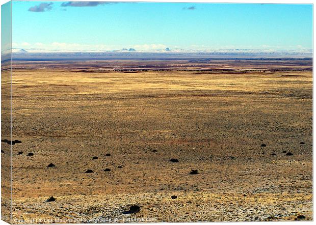 The high desert plain Canvas Print by Lee Mullins