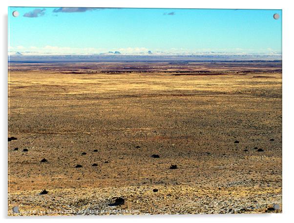 The high desert plain Acrylic by Lee Mullins