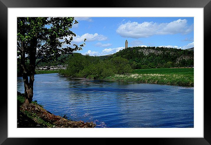 stirling in color Framed Mounted Print by dale rys (LP)