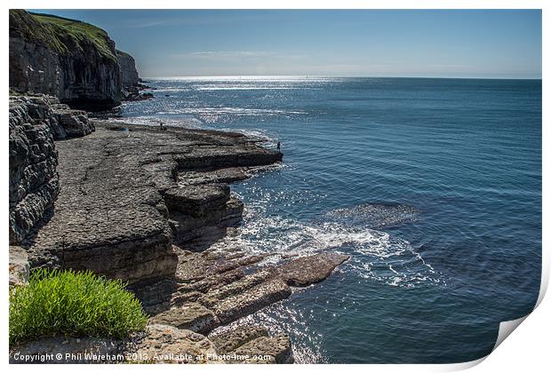 Dancing Ledge Dorset Print by Phil Wareham