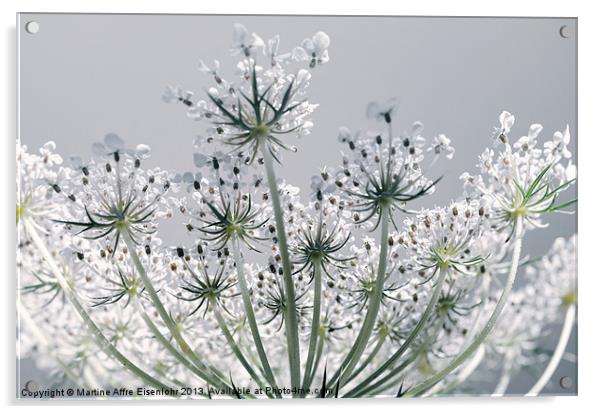 Inflorescence in umbels Acrylic by Martine Affre Eisenlohr