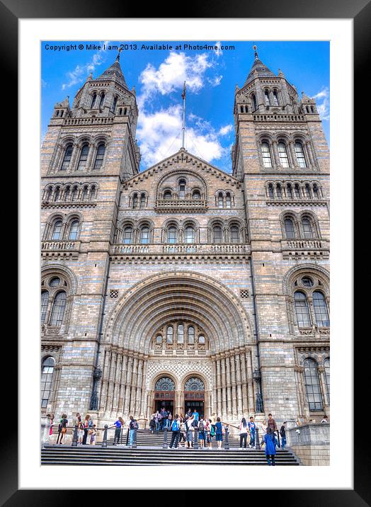 Natural History Museum Framed Mounted Print by Thanet Photos