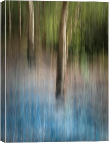 Bluebell Wood Canvas Print by Natures' Canvas: Wall Art  & Prints by Andy Astbury