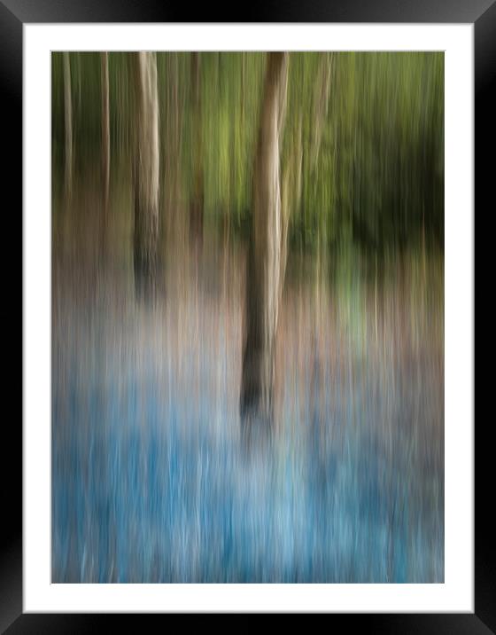 Bluebell Wood Framed Mounted Print by Natures' Canvas: Wall Art  & Prints by Andy Astbury