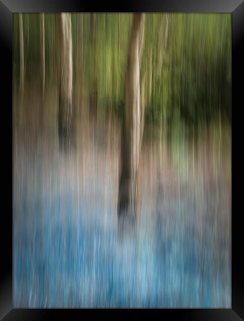 Bluebell Wood Framed Print by Natures' Canvas: Wall Art  & Prints by Andy Astbury