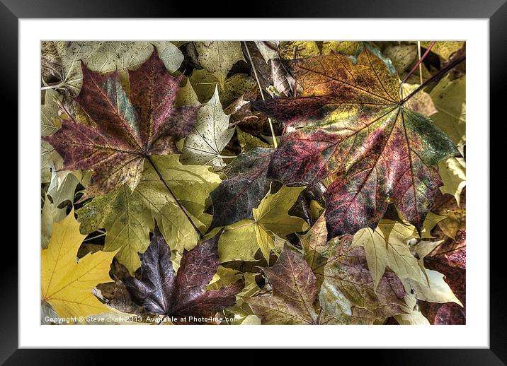 Autumn Colours Framed Mounted Print by Steve H Clark