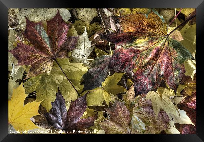 Autumn Colours Framed Print by Steve H Clark