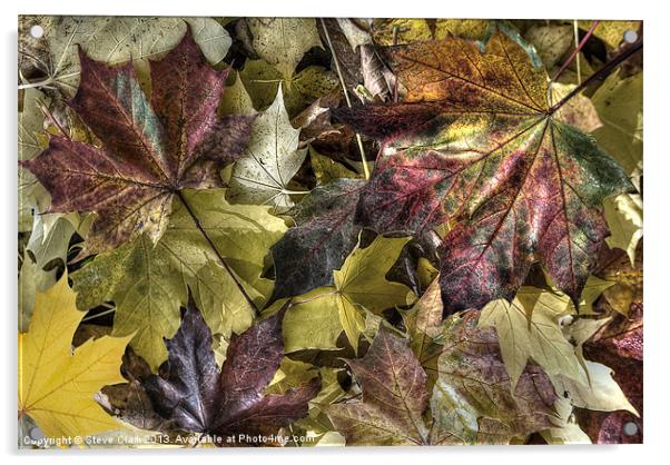 Autumn Colours Acrylic by Steve H Clark