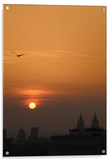 Orange Sunset Over Liverpool Skyline Acrylic by Phillip Orr