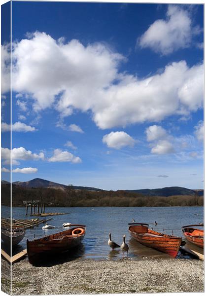 Derwent Water Geese on Lake Canvas Print by Phillip Orr