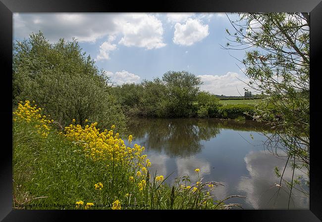 Tranquil Moments Framed Print by Iain Mavin