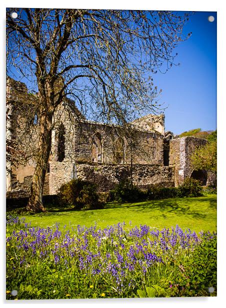 Bluebells, St Davids Abbey, Pembrokeshire, Wales,  Acrylic by Mark Llewellyn