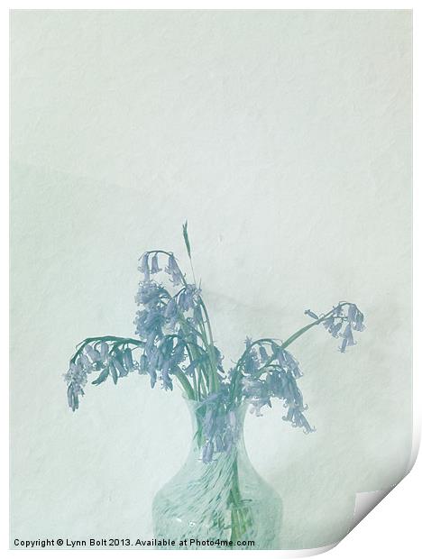 Vase of Bluebells Print by Lynn Bolt