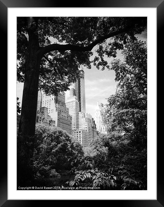 New york view central park Framed Mounted Print by David Basset
