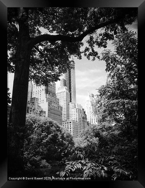 New york view central park Framed Print by David Basset