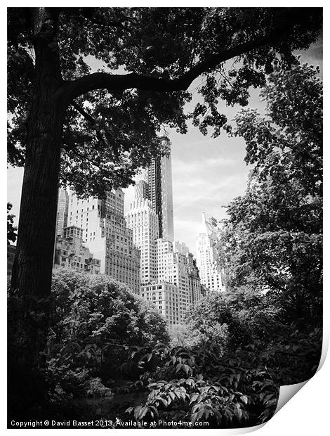 New york view central park Print by David Basset