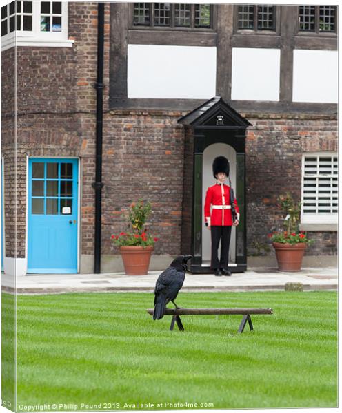 Raven at Tower of London Canvas Print by Philip Pound