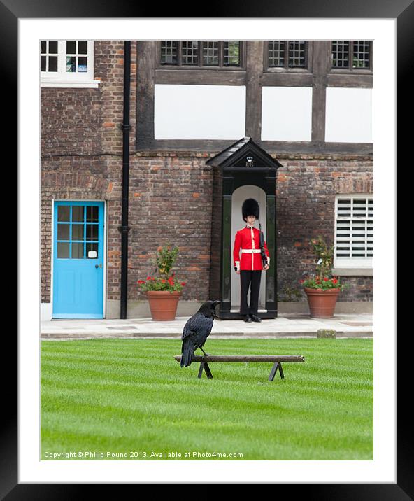 Raven at Tower of London Framed Mounted Print by Philip Pound
