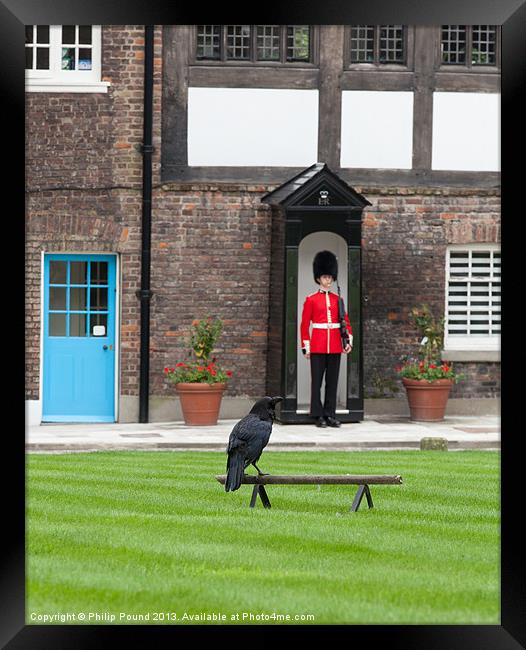 Raven at Tower of London Framed Print by Philip Pound