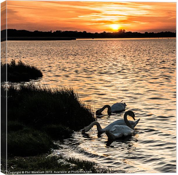 Sunset Supper Canvas Print by Phil Wareham