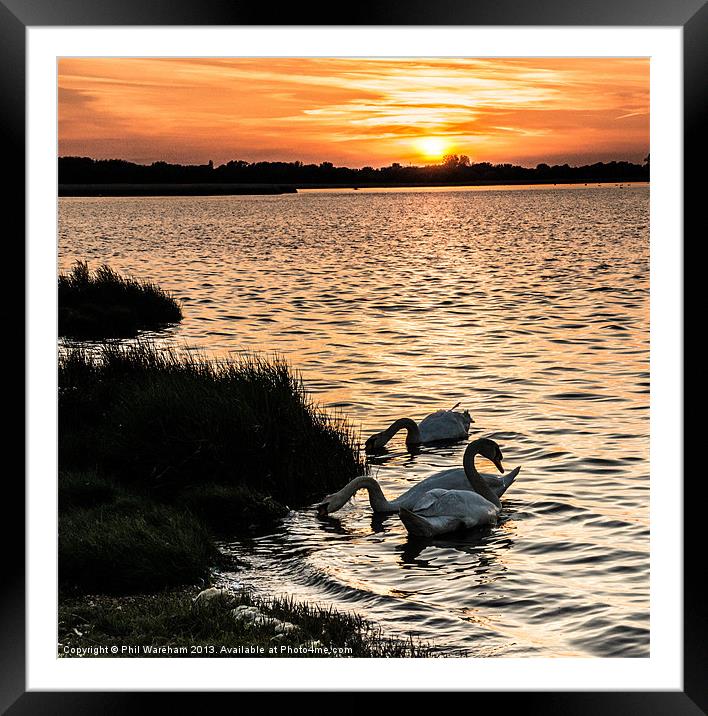 Sunset Supper Framed Mounted Print by Phil Wareham