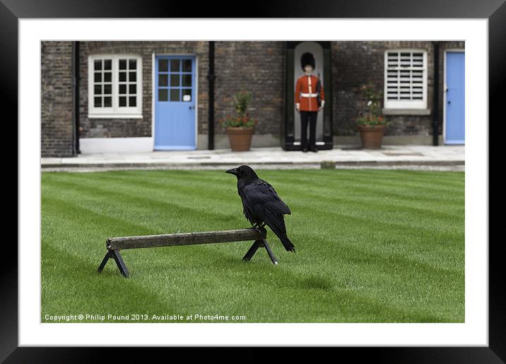 Raven & Welsh Guard Framed Mounted Print by Philip Pound