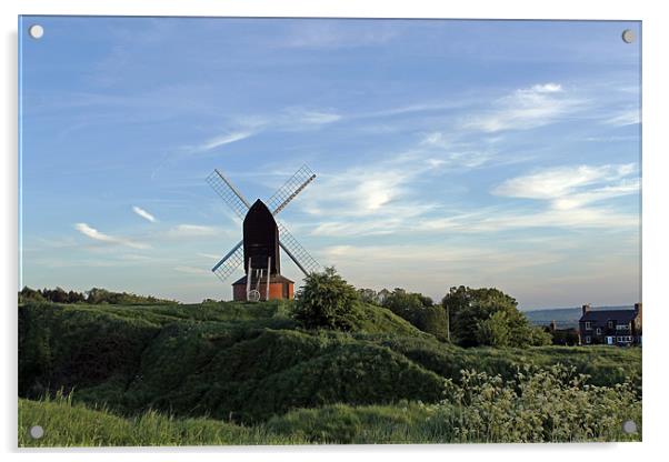 Windmill on Brill Common Acrylic by Tony Murtagh