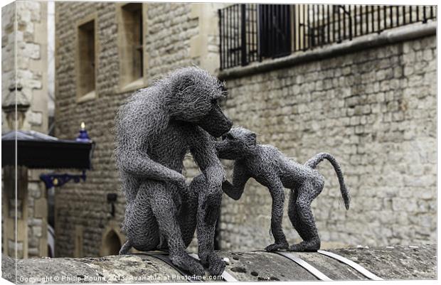 Monkeys at Tower of London Canvas Print by Philip Pound