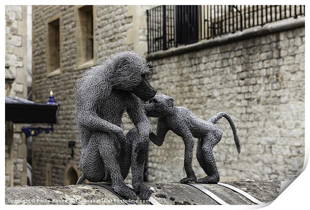 Monkeys at Tower of London Print by Philip Pound
