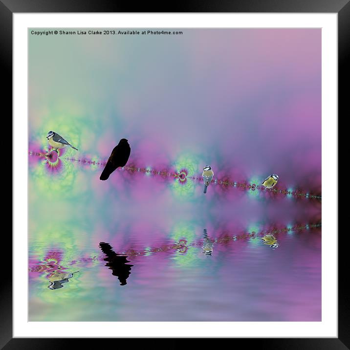 Birds on a wire - reflected Framed Mounted Print by Sharon Lisa Clarke