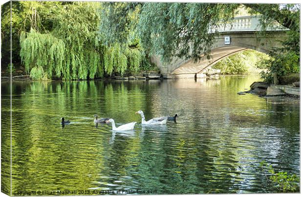 Stanley Park Boating Lake. Canvas Print by Lilian Marshall