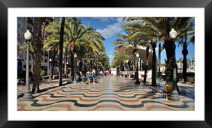 Along Alicantes Water Front Framed Mounted Print by Jon Fixter