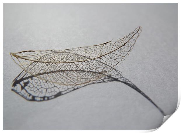 What Leaves Behind Print by Martin Albones
