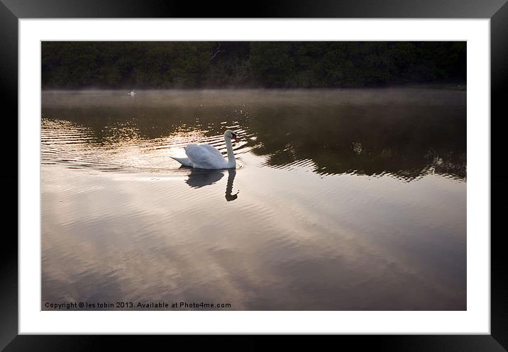 Early Morning Framed Mounted Print by les tobin