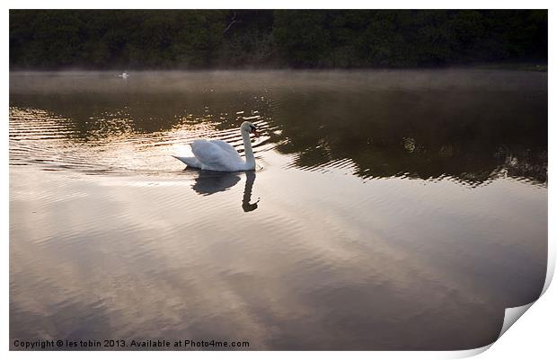 Early Morning Print by les tobin