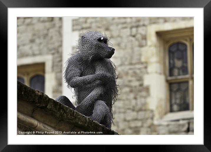 Monkey at Tower of London Framed Mounted Print by Philip Pound