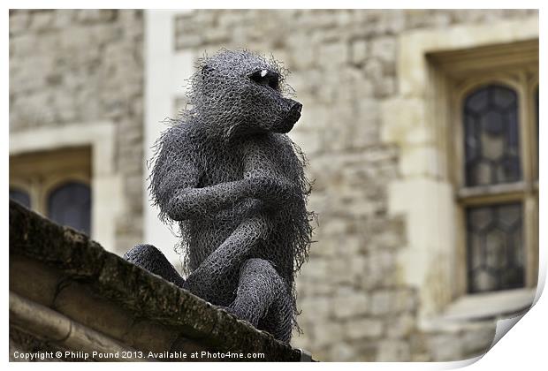 Monkey at Tower of London Print by Philip Pound