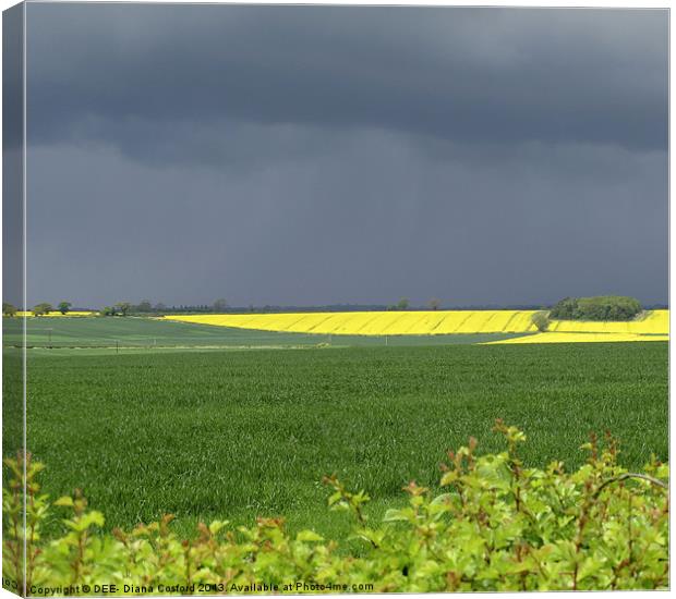 Rapeseed Oil Field Storm Yellow Canvas Print by DEE- Diana Cosford
